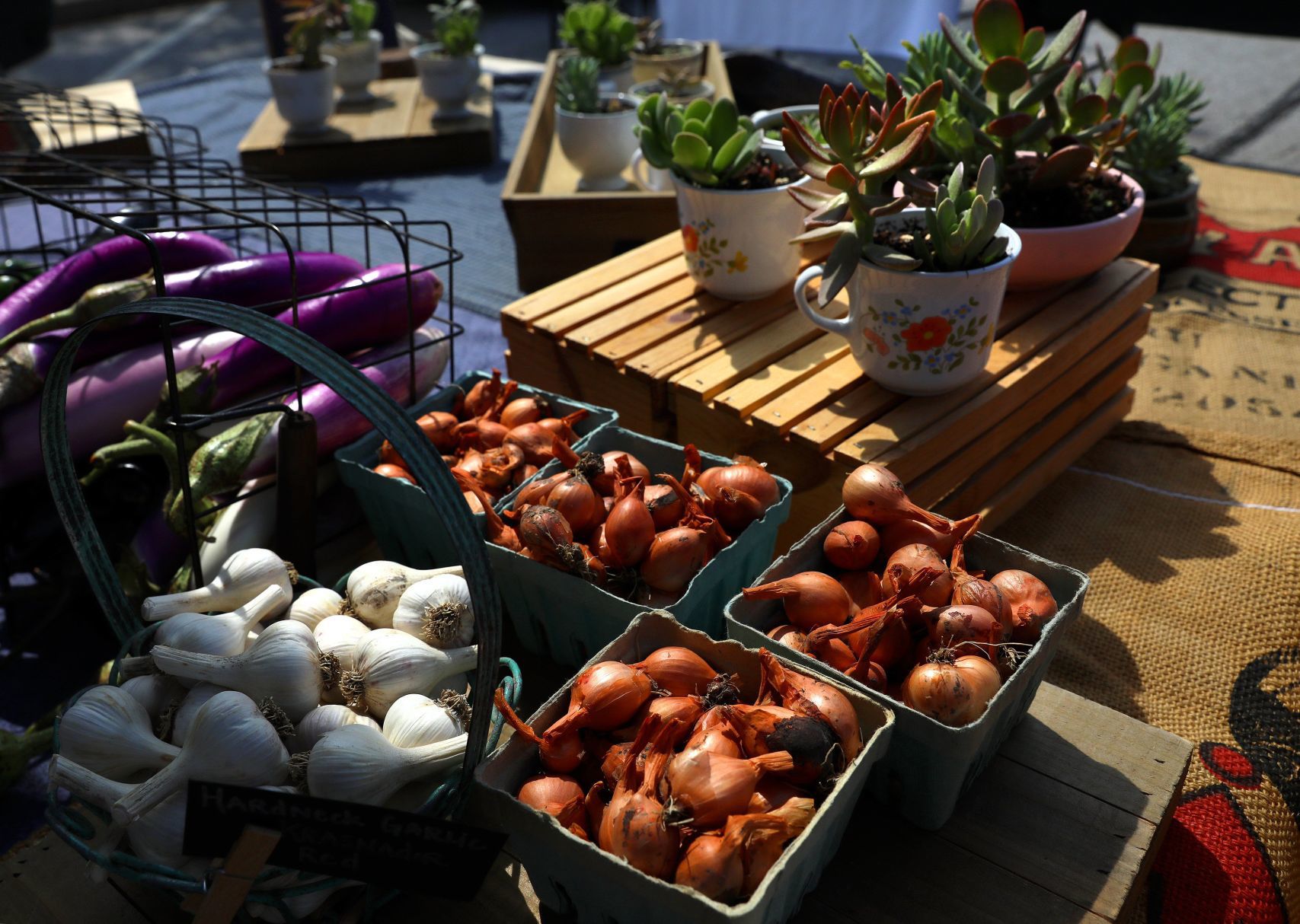 Lake St. Louis Farmers & Artists Market